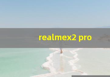 realmex2 pro